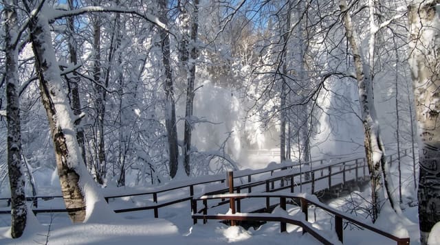 Liard River Hot Springs