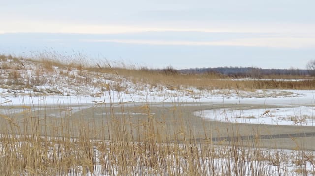 Oak Hammock Marsh