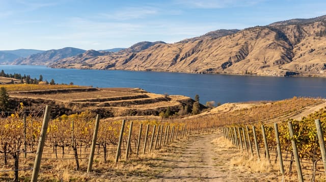 The Okanagan Valley