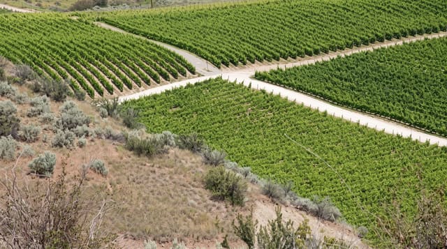 Osoyoos Desert