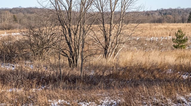 Rouge National Urban Park