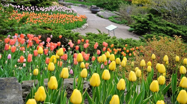 Royal Botanical Gardens