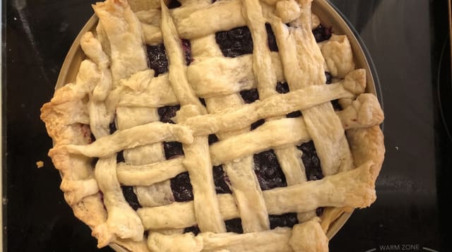 Saskatoon Berry Pie