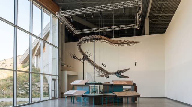 T.rex Discovery Centre