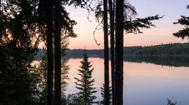 Wood Buffalo National Park