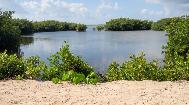 Barkers National Park