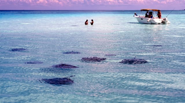 Stingray City