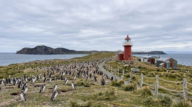 Magdalena Island