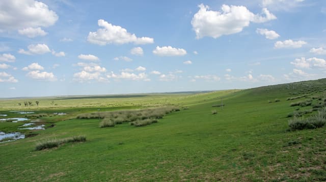 Bashang Grasslands