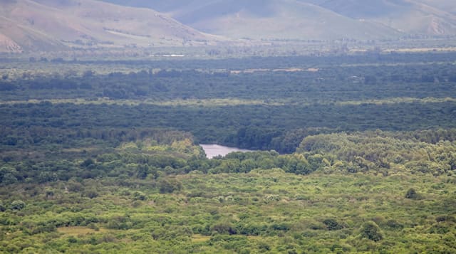 Ergun Wetlands