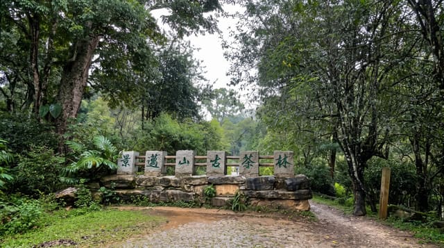 Jingmai Mountain