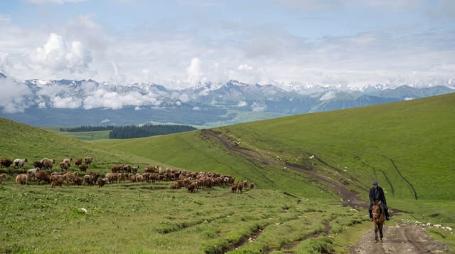 Kalajun Grassland