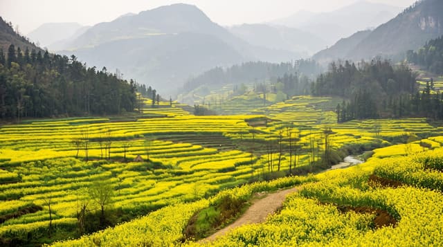 Luoping