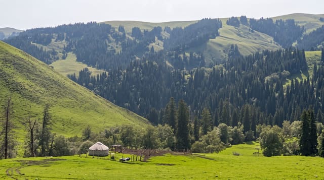 Narat Grasslands
