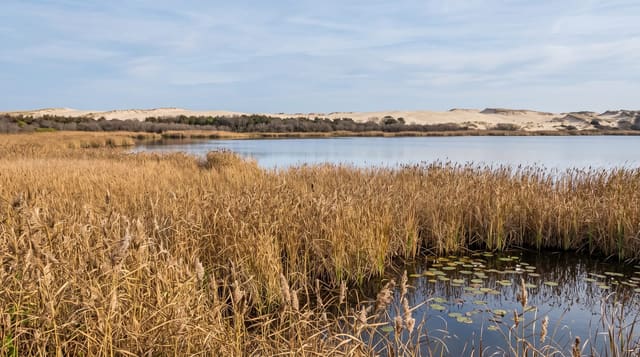 Sand Lake