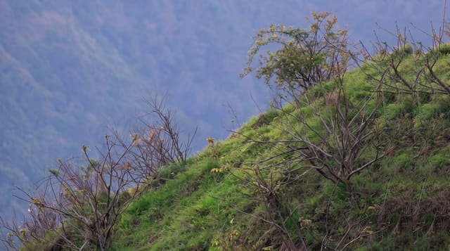 Tangjiahe Nature Reserve