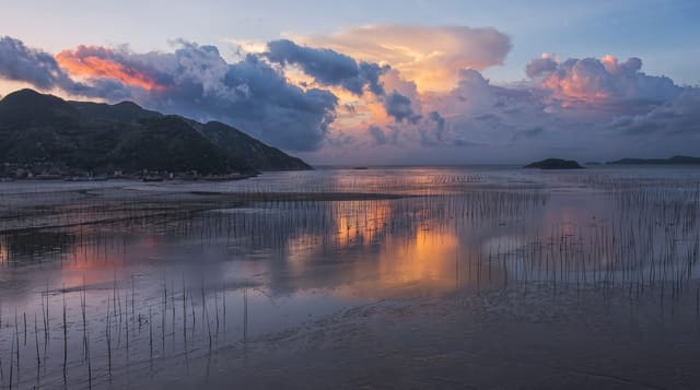 Xiapu Mudflats