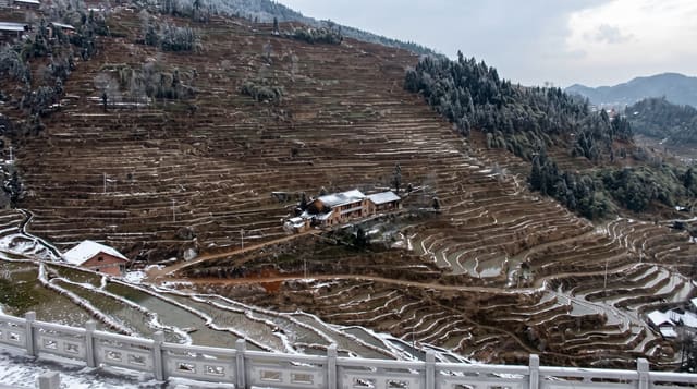 Ziquejie Terraces