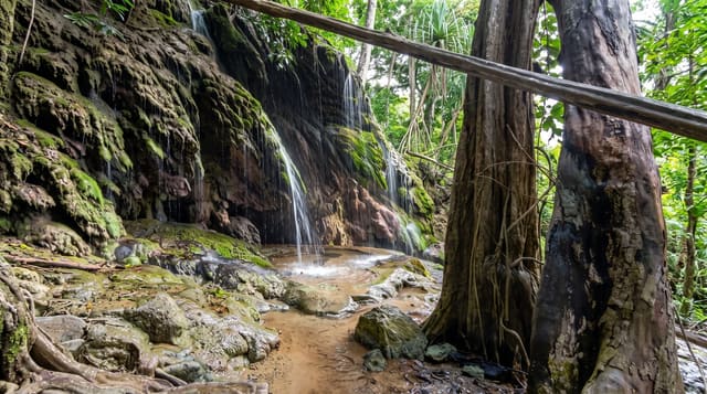 The Dales and Hugh's Dale Waterfall
