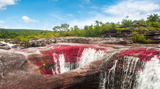 Cano Cristales