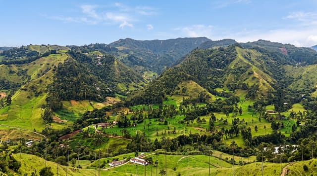 The Cocora Valley