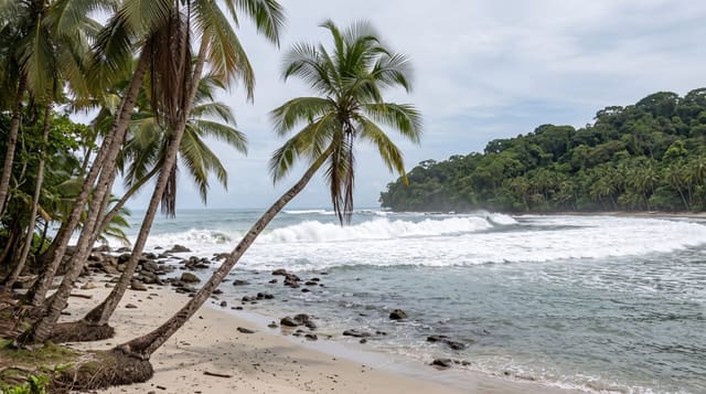 Puerto Viejo de Talamanca