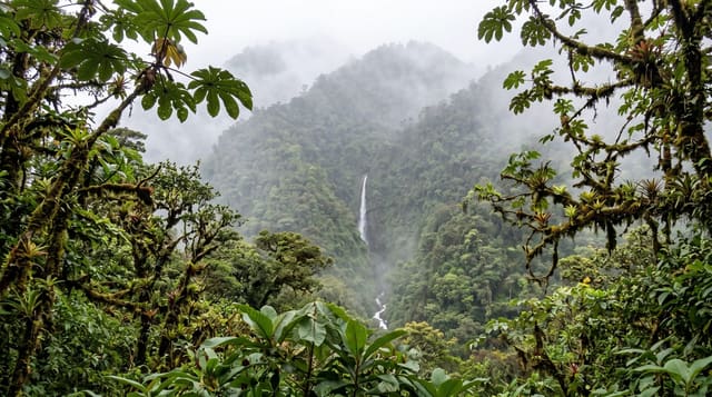 Tapantí