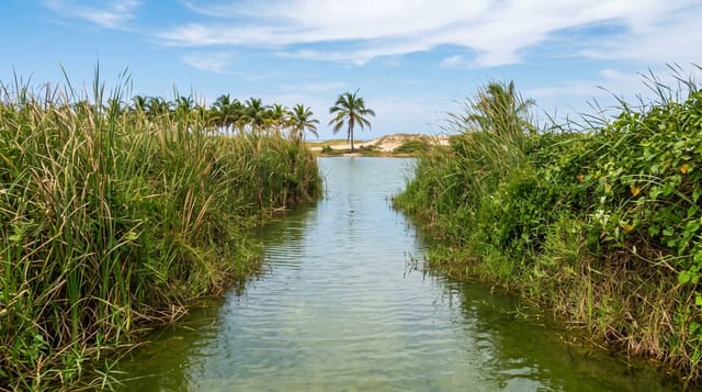 Laguna Limón