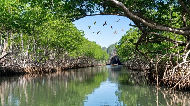 Los Haitises National Park