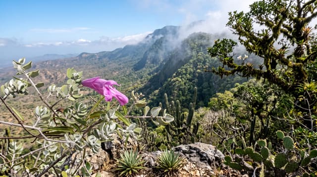 Sierra de Bahoruco
