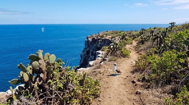 Isla de la Plata