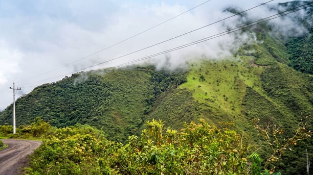 Mindo Cloud Forest