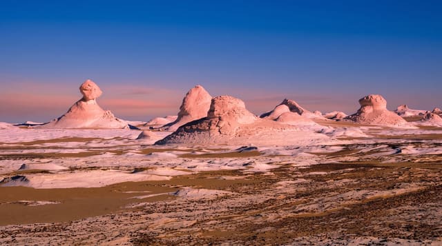 The White Desert