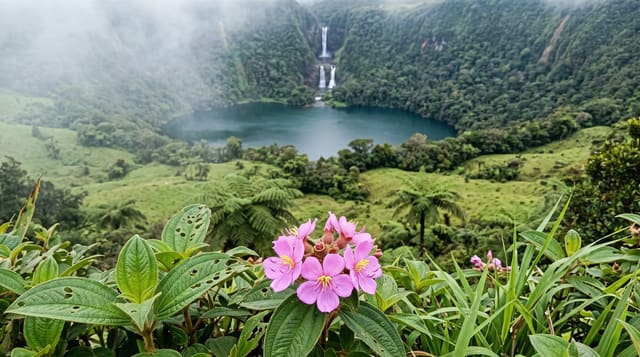 The Moka Highlands
