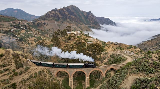 The Eritrean Steam Railway