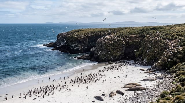 The Wildlife Islands