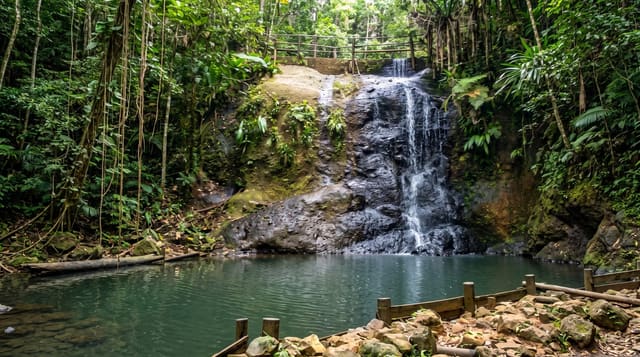 Colo-i-Suva Forest Park