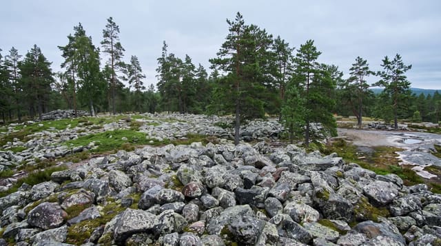 Sammallahdenmaki