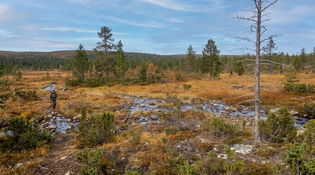 Urho Kekkonen National Park