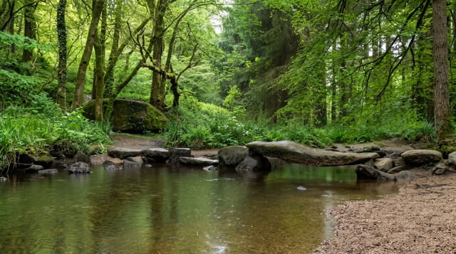 Huelgoat Forest