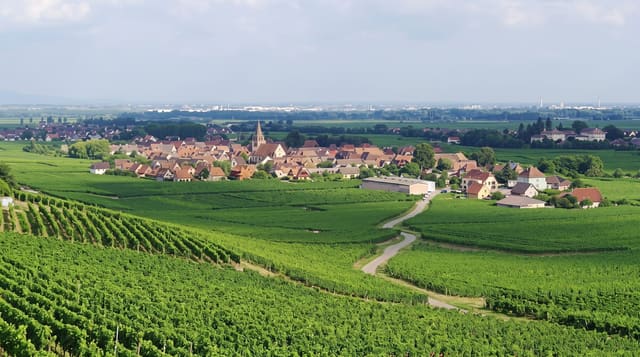 Kaysersberg