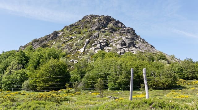 Mont Gerbier de Jonc