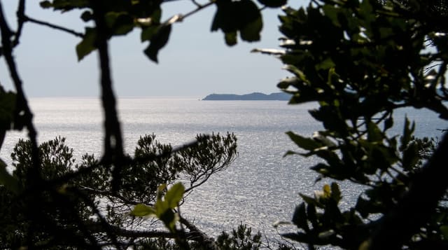 Port-Cros National Park