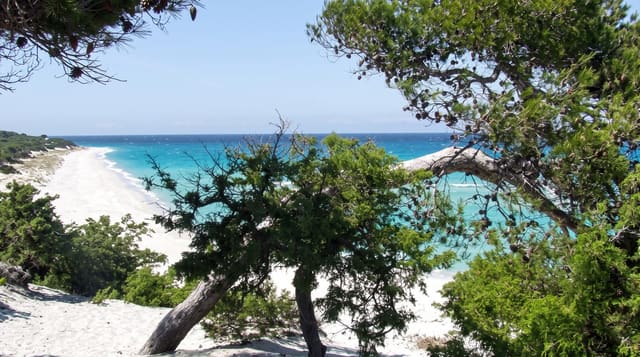 Saleccia Beach