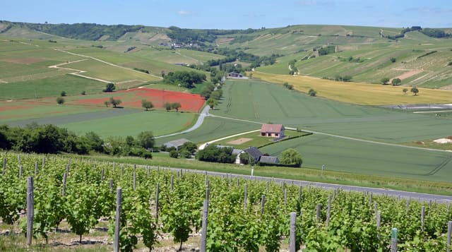 Sancerre