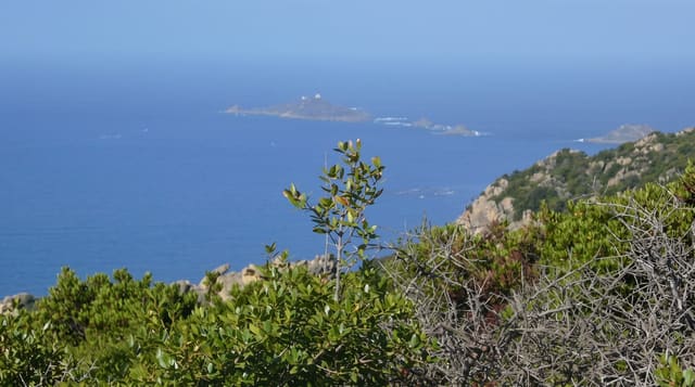 Sanguinaires Islands