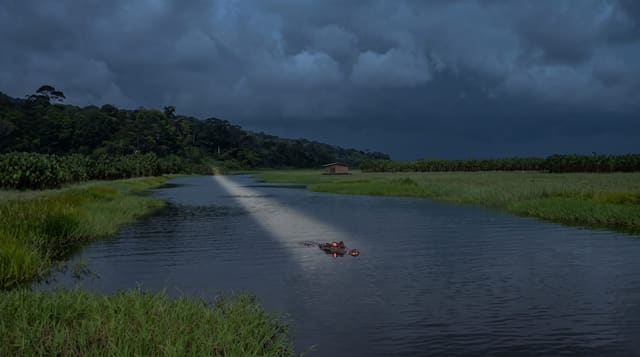 The Kaw Marshes