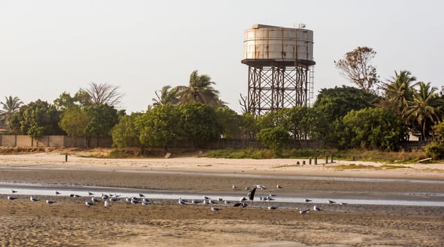 The Gambian Coast