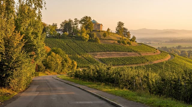 Baden Wine Region