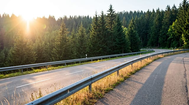 Black Forest High Road